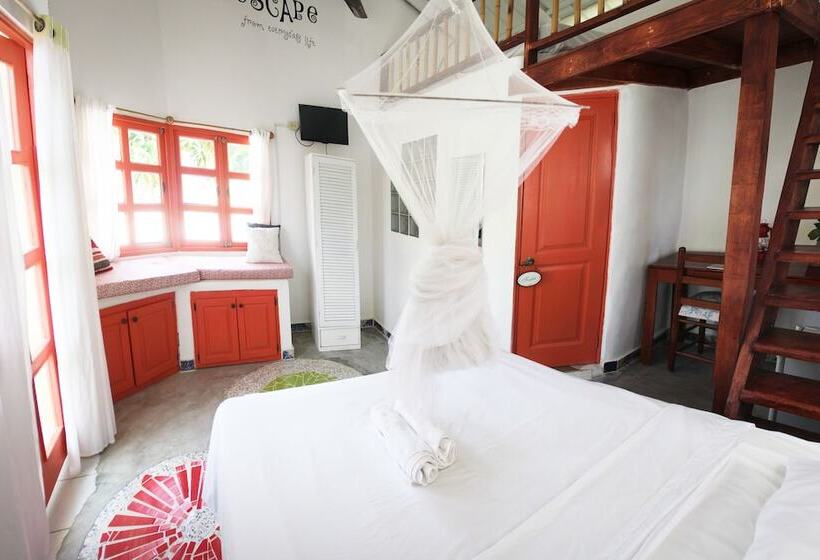 اتاق سوپریور, Casa Delfin Guest House