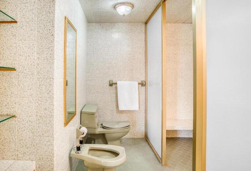 Suite Master, Y Spa Posada Mirador