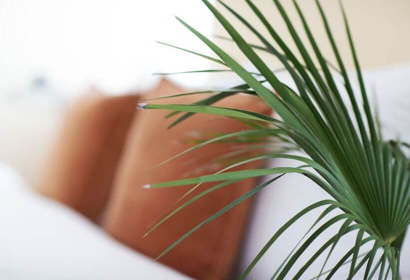 Economy Kamer, Engel Liestal   Business & Lifestyle