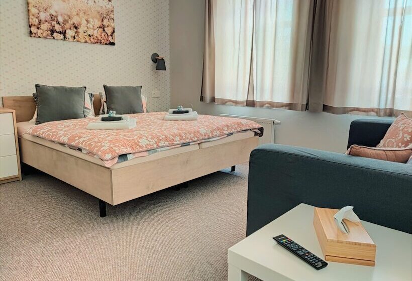 اتاق استاندارد سه نفره, Penzion Bílá Voda