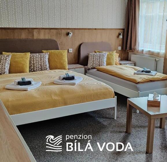 اتاق استاندارد چهار تخته, Penzion Bílá Voda