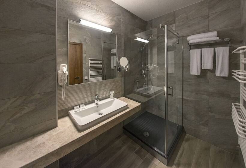이그제큐티브 룸, Hot Springs Medical And Spa