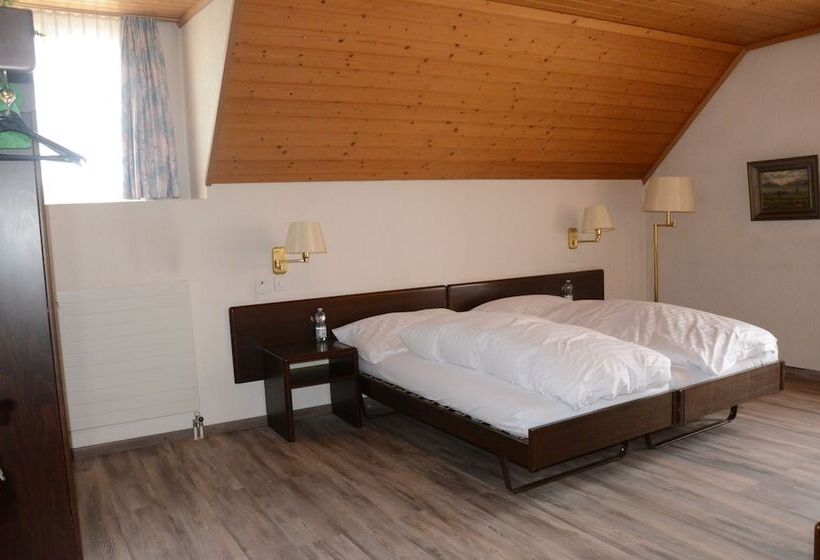 Номер Стандарт, Gasthof Lowen Worb Bei Bern