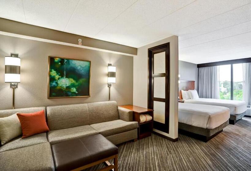 Номер Стандарт, Hyatt Place Baltimore/bwi Airport