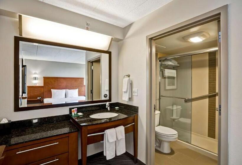 Номер Стандарт Кровать Кинг Адаптированный для Инвалидов, Hyatt Place Baltimore/bwi Airport