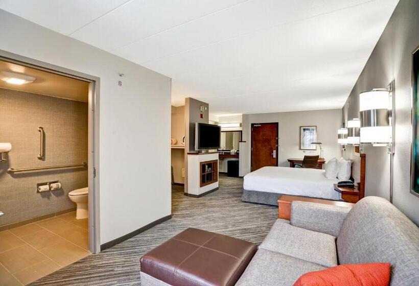 Номер Стандарт Кровать Кинг Адаптированный для Инвалидов, Hyatt Place Baltimore/bwi Airport