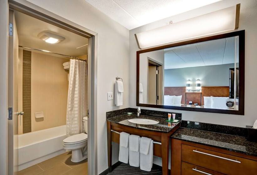 Номер Стандарт, Hyatt Place Baltimore/bwi Airport