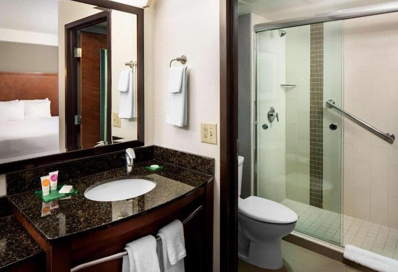 Стандартный Номер Кровать Кинг, Hyatt Place Roanoke Airport / Valley View Mall