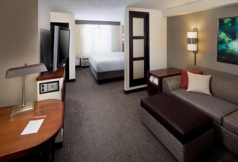 Номер Стандарт Кровать Кинг Адаптированный для Инвалидов, Hyatt Place Roanoke Airport / Valley View Mall