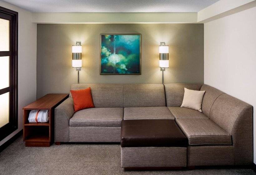 Номер Стандарт 2 Двуспальные Кровати, Hyatt Place Roanoke Airport / Valley View Mall