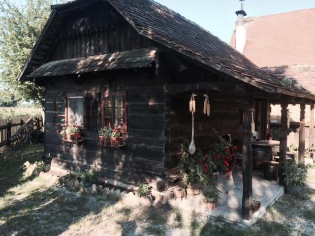 Апартаменты 1 Спальня, Tradicije Cigoc