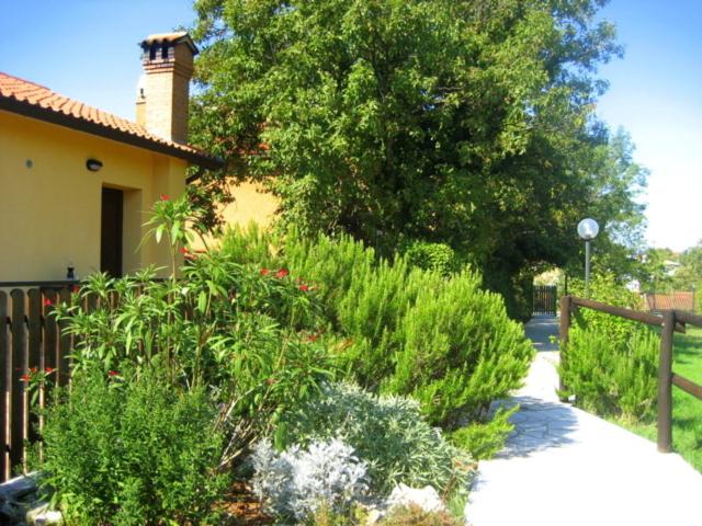 استودیو استاندارد با تراس, Agriturismo Radovic