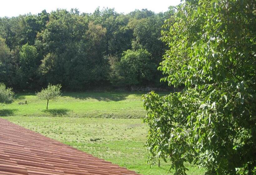آپارتمان 1 خوابه با بالکن, Agriturismo Radovic