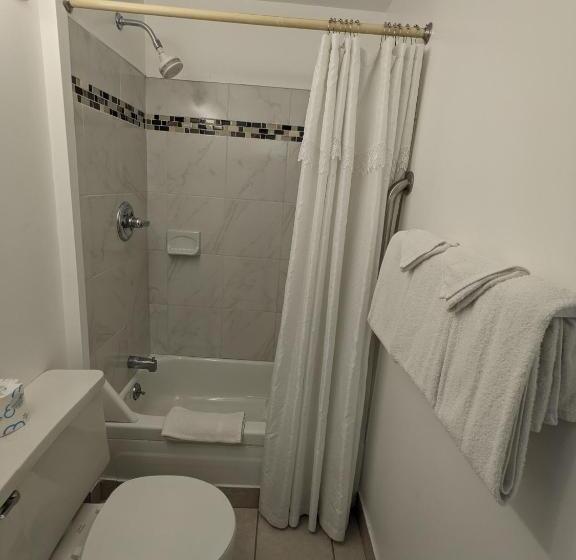Номер Стандарт 2 Двуспальные Кровати, Bennington Motor Inn