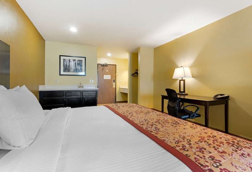 Номер Стандарт, Best Western Blackfoot Inn