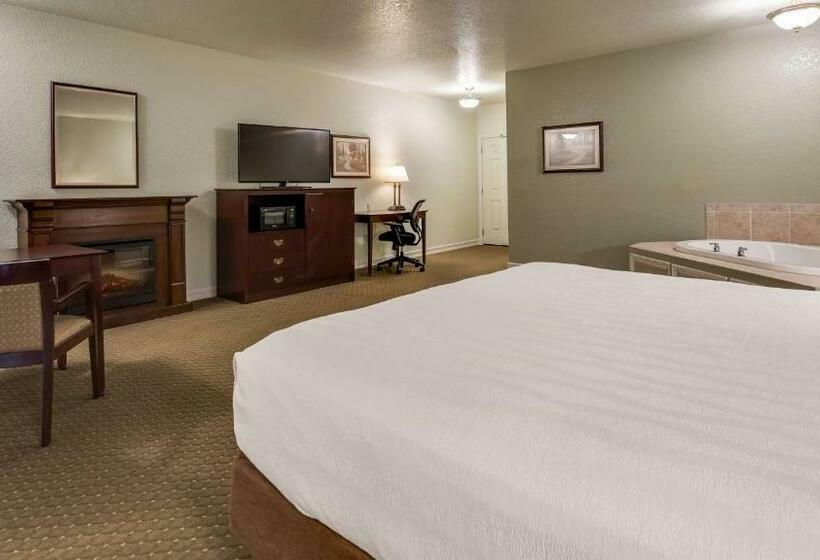 스탠다드 룸 킹사이즈 침대, Best Western Plus Bayshore Inn