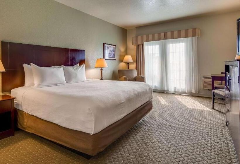 장애인을 위한 킹사이즈 침대 스탠다드 룸, Best Western Plus Bayshore Inn
