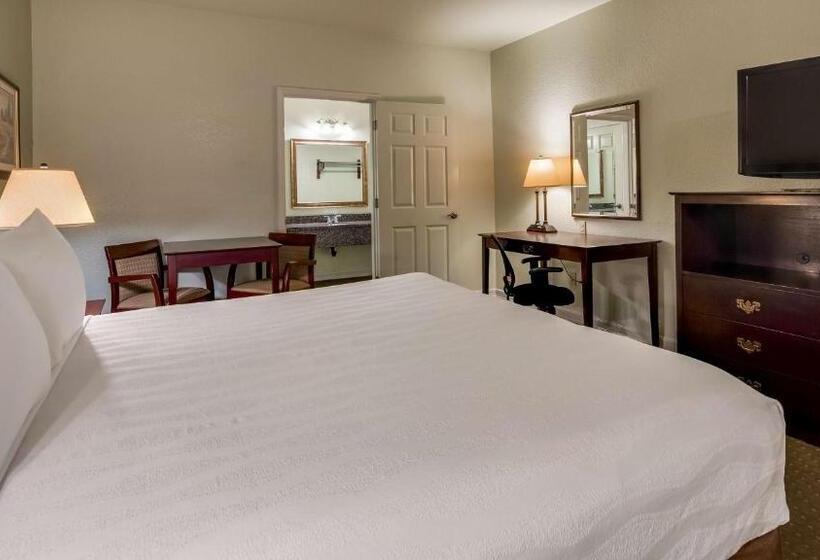 스탠다드 룸 킹사이즈 침대, Best Western Plus Bayshore Inn