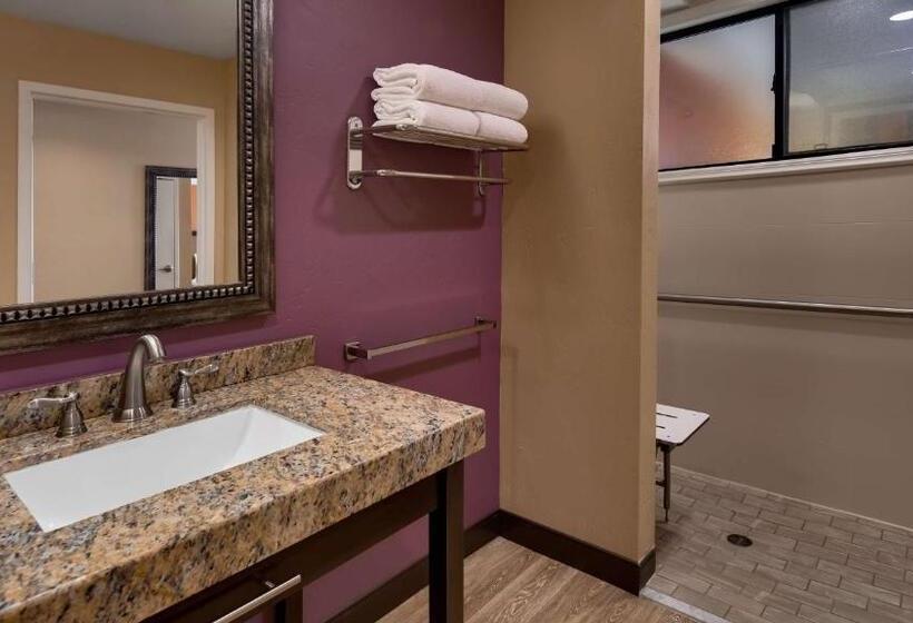 스탠다드 룸 킹사이즈 침대, Best Western View Of Lake Powell