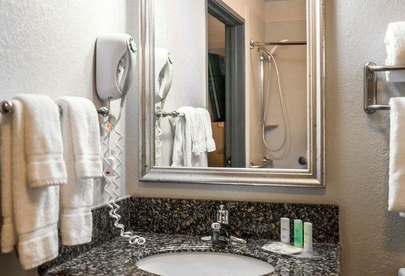 Süit, Comfort Suites Nashville Airport   Bna