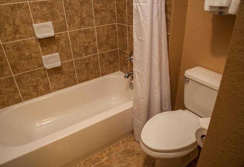 스탠다드 룸 킹사이즈 침대, Holiday Inn Express Tucson Airport, An Ihg