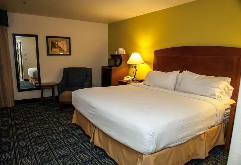 이그제큐티브 룸 킹사이즈 침대, Holiday Inn Express Tucson Airport, An Ihg