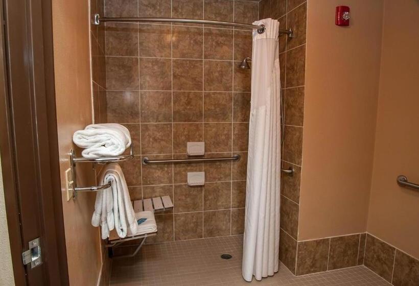 장애인을 위한 스탠다드 룸, Holiday Inn Express Tucson Airport, An Ihg