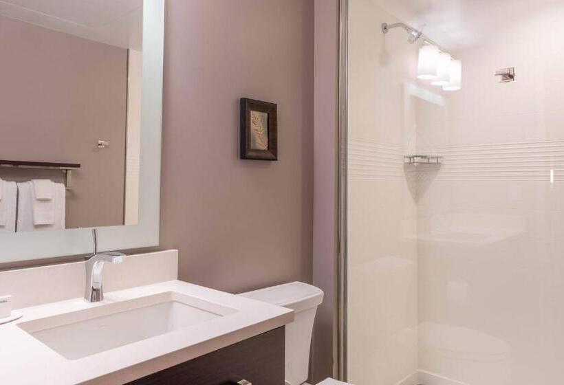 Номер Стандарт Кровать Кинг Адаптированный для Инвалидов, Towneplace Suites By Marriott Thousand Oaks Agoura Hills
