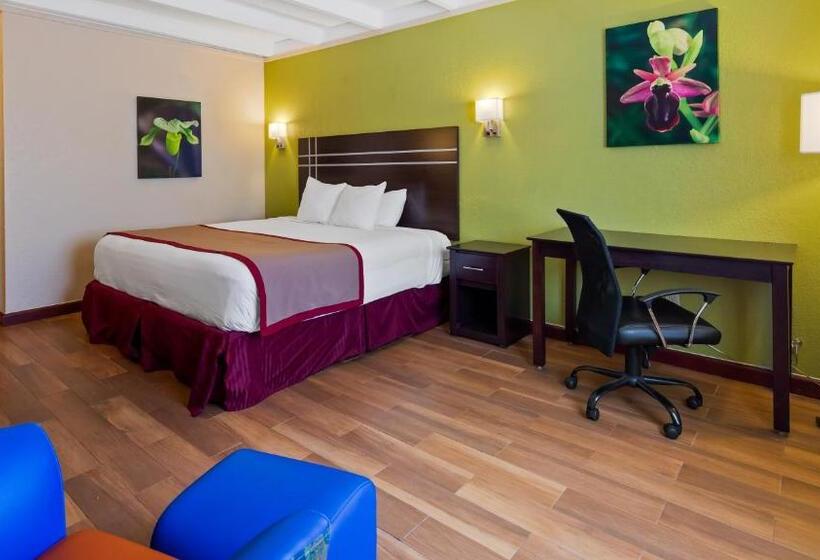 חדר סטנדרט עם מיטת קינג, Best Western Orlando West