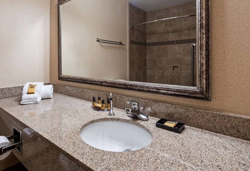 سوئیت با وان آب گرم, Best Western Plus North Canton Inn & Suites
