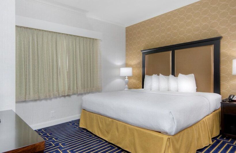 스위트, Best Western Plus Palm Court