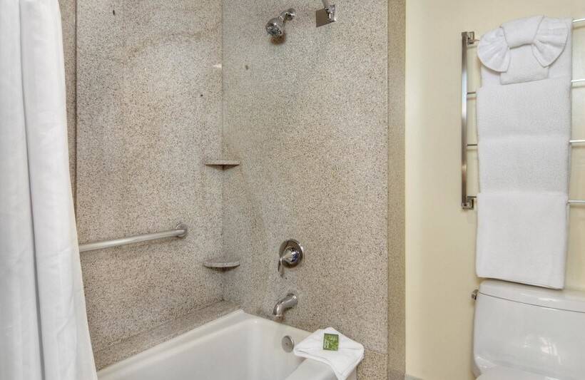 발코니가 있는 스위트, Best Western Plus Palm Court