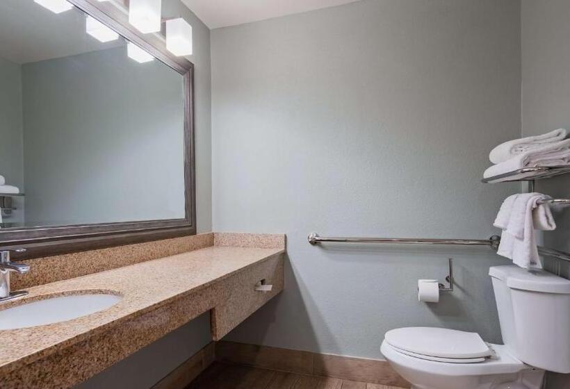 Номер Стандарт Кровать Кинг Адаптированный для Инвалидов, Best Western Port Aransas