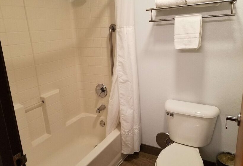 스탠다드 룸, Best Western Sandy Inn