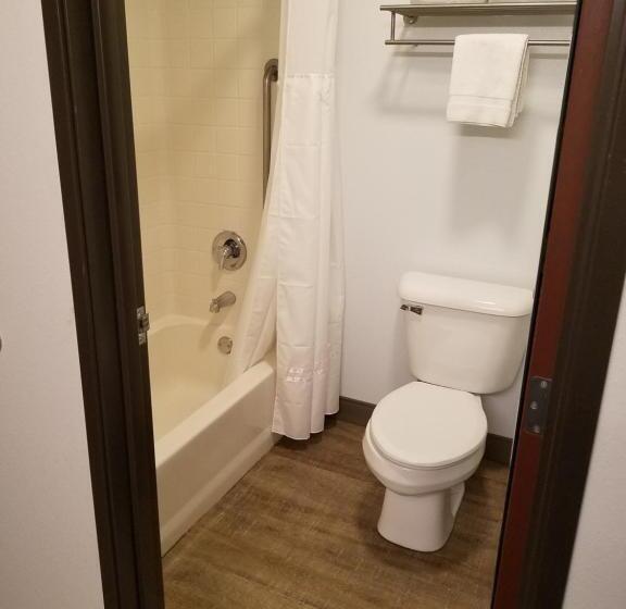 스탠다드 룸 킹사이즈 침대, Best Western Sandy Inn