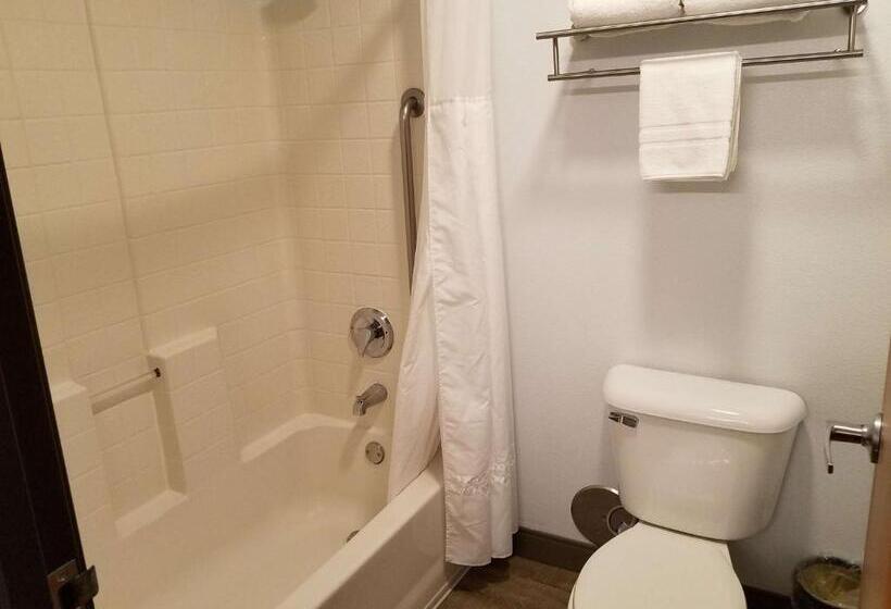 스탠다드 룸 킹사이즈 침대, Best Western Sandy Inn