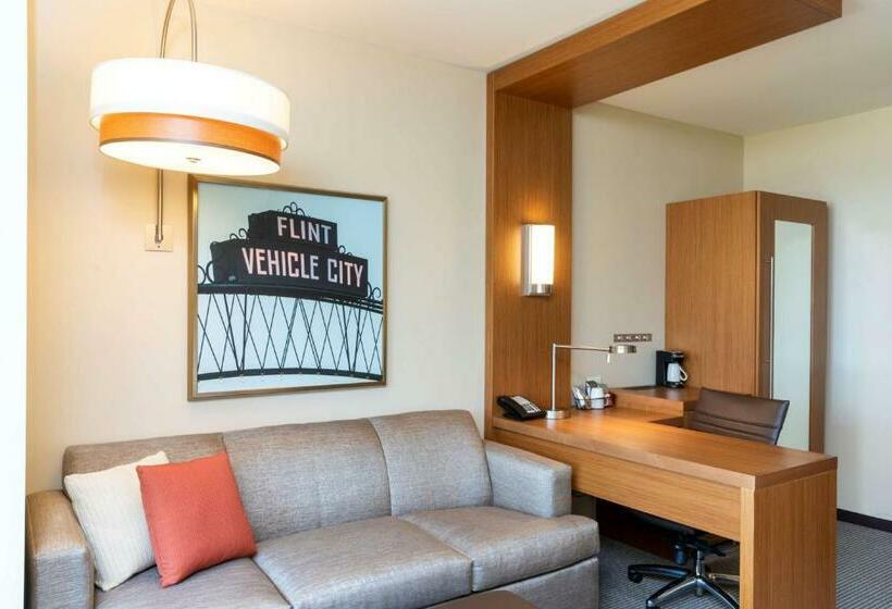 اتاق استاندارد, Hyatt Place Flint/Grand Blanc