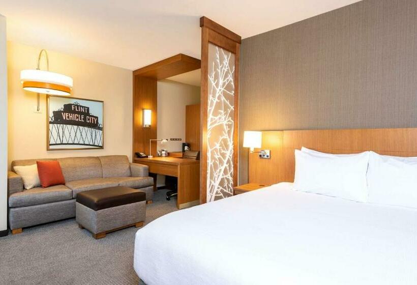 اتاق استاندارد با تخت بزرگ, Hyatt Place Flint/Grand Blanc