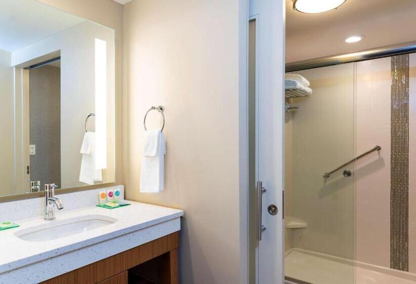 اتاق استاندارد با 2 تخت دوبل, Hyatt Place Flint/Grand Blanc