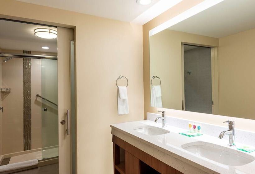 اتاق استاندارد, Hyatt Place Flint/Grand Blanc