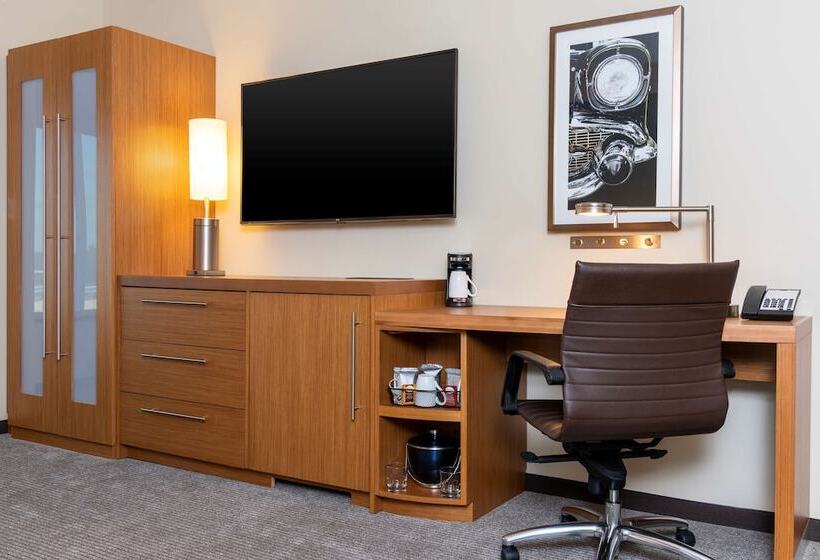 اتاق استاندارد, Hyatt Place Flint/Grand Blanc