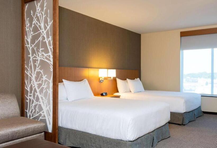 اتاق استاندارد, Hyatt Place Flint/Grand Blanc