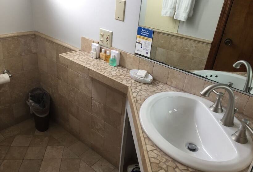 스탠다드 룸, Catalina Island Seacrest Inn