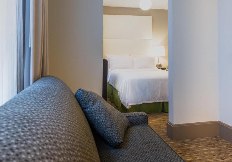 Suite King Size Bed, Holiday Inn Express Chicago   Magnificent Mile, An Ihg