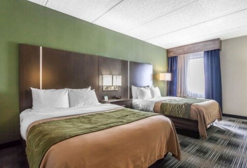 Номер Стандарт 2 Двуспальные Кровати, Comfort Inn Cleveland Airport
