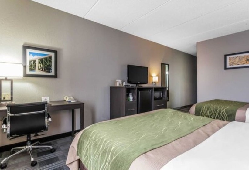 Номер Стандарт 2 Двуспальные Кровати, Comfort Inn Cleveland Airport