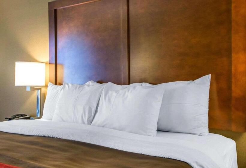 Номер Стандарт Кровать Кинг Адаптированный для Инвалидов, Comfort Inn Dayton  Huber Heights
