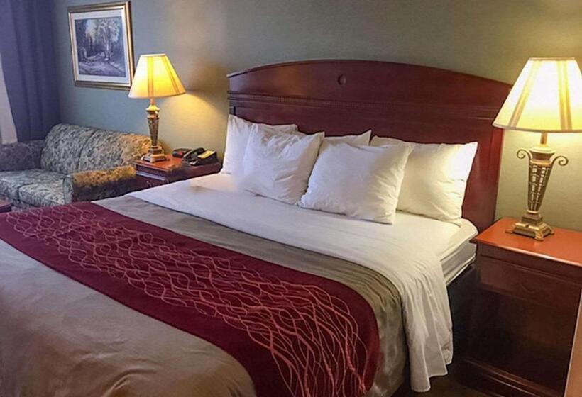 带大床的标准间, Comfort Inn