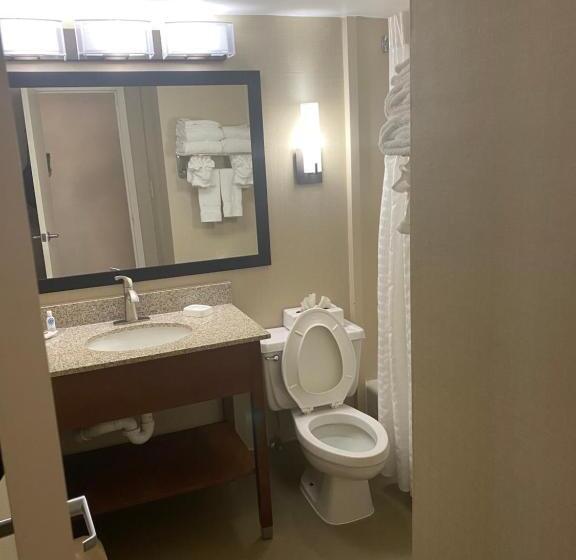 带大床的标准间, Comfort Inn