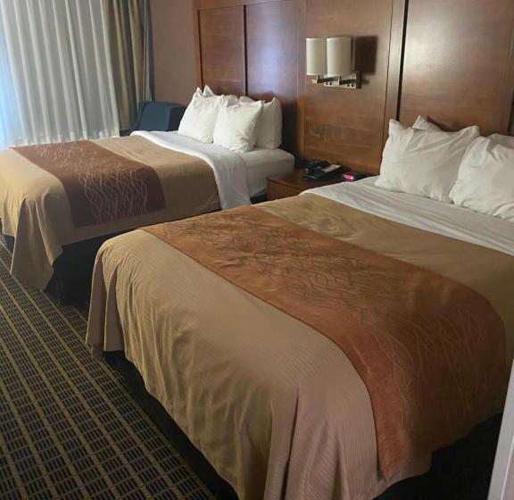 标准间, Comfort Inn